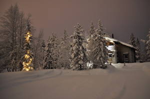 Papel de Parede Desktop Estação do ano Invierno Finlândia Neve árvores Noite  Naturaleza