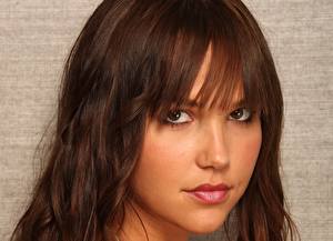 Picture Arielle Kebbel Eyes Glance Brunette girl Face Hair young woman
