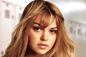 Pictures Aimee Teegarden Eyes Staring Face Hair Brown haired female