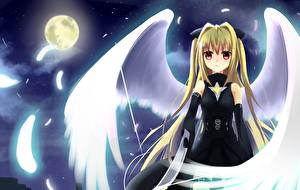 Picture To-Love-Ru Wings Staring Moon Night time Anime Girls