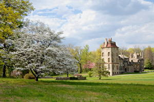 Bilder Burg USA Himmel Blühende Bäume Wolke Gras Pennsylvania Fonthill Städte