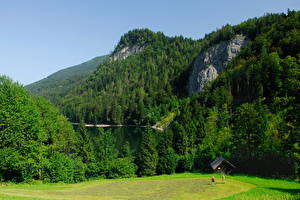 デスクトップの壁紙、、山、森林、オーストリア、Salzkammergut、自然