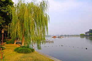 Фотографии Парк Китай Река Деревья Чжэцзян Ханьчжоу Природа