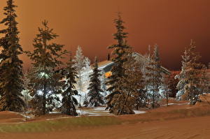 Картинки Времена года Зимние Ночные Дерева Природа