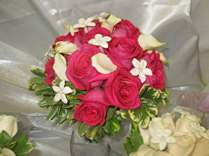 Sfondi desktop Bouquet Rose Rosso fiore