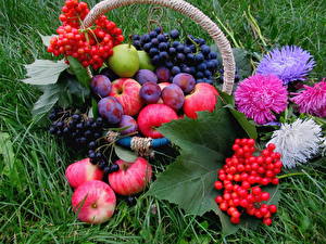 Image Still-life Fruit Apples Grapes Plums Grass Wicker basket Leaf Food