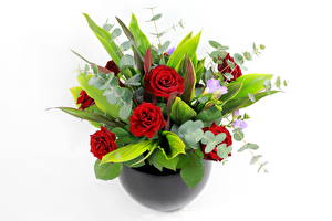 Fonds d'écran Bouquet Roses Rouge Fleurs