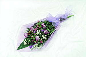 Wallpaper Bouquets Dianthus flower