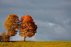 Bureaubladachtergronden Seizoen Herfst Hemelgewelf Wolken Bomen Natuur