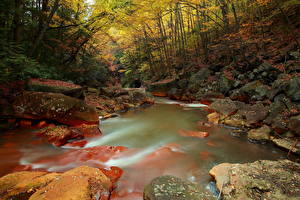 Fotos Flusse Wälder Jahreszeiten Herbst Stein HDR Natur