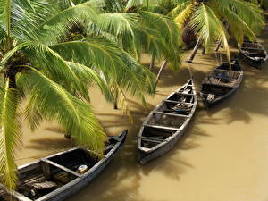 Bureaubladachtergronden Tropisch Een boot Palmbomen Natuur