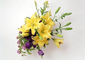Picture Bouquets Lilies Yellow Flowers