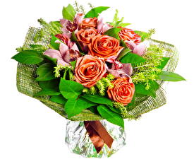 Fonds d'écran Bouquet Roses Orange fleur