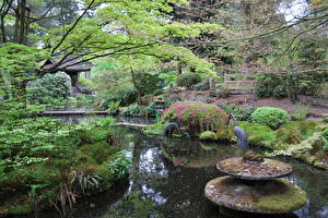 Fonds d'écran Jardins Aménagement paysager Étang Angleterre Design  Nature