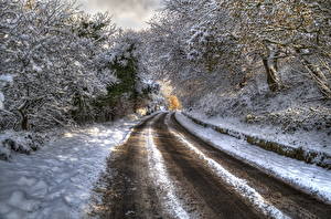 Fotos Jahreszeiten Winter Straße Schnee Bäume HDRI Natur