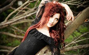 Wallpapers Susan Coffey Glance Branches Redhead girl Hair female