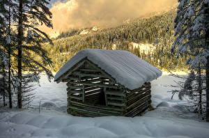 Bakgrundsbilder på skrivbordet Årstiderna Vinter Skog Österrike Snö HDR Alps Natur