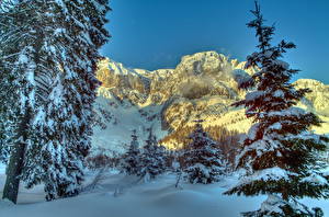 Bakgrunnsbilder En årstid Vinter Fjell Østerrike Snø Trær Picea Alpene Natur