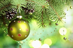 Photo Holidays New year Balls Branches Christmas tree Conifer cone