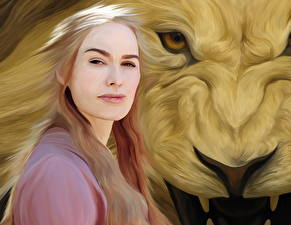 Wallpapers Game of Thrones Big cats Lion Glance Hair Blonde girl  film