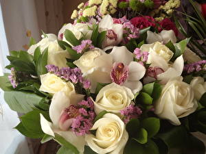 Images Bouquet Rose White Flowers