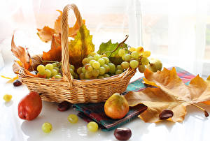 Fotos Obst Weintraube Stillleben Weidenkorb Blattwerk Lebensmittel