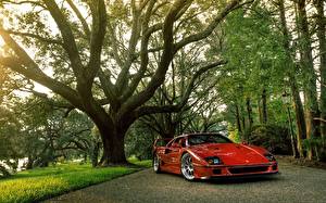 Tapety na pulpit Ferrari Czerwony Drzewa HDR F-40 samochód