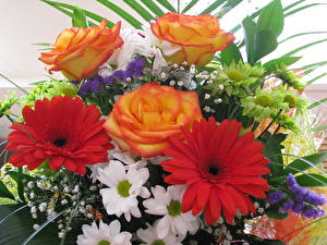 Bakgrundsbilder på skrivbordet Blomsterbukett Rosor Gerbera Blommor