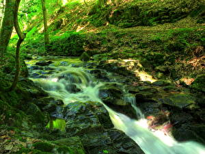 Bureaubladachtergronden Watervall Steen Groen kleur Mos Beek Ziegelbach Natuur