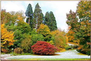 Hintergrundbilder Park Deutschland Jahreszeiten Herbst Bäume  Natur