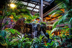 Pictures Parks Stones Waterfalls Disneyland Foliage Palms HDR California Nature