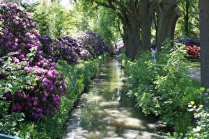Bureaubladachtergronden Park Rivieren Duitsland Bomen Struiken Rhododendronpark Bremen Natuur