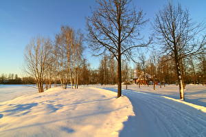 Wallpaper Seasons Winter Roads Snow Trees Nature