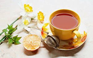 Fotos Getränk Tee Orchideen Tasse Untertasse Lebensmittel Blumen
