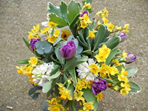 Papel de Parede Desktop Buquê Narcissus flor