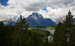 桌面壁纸，，公园，山，天空，森林，美国，云，Grand Teton National Wyoming，大自然