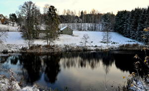 Bureaubladachtergronden Seizoen Winter Litouwen Sneeuw Een boom  Natuur