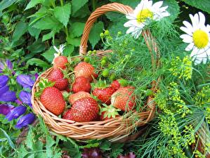 Fotos Obst Erdbeeren Kamillen Weidenkorb das Essen