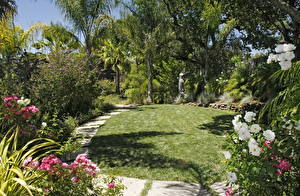 Picture Gardens Landscape design Grass Palms Lawn Nature