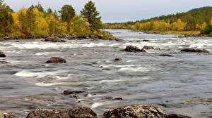 Bakgrundsbilder på skrivbordet Floder Stenar Finland Träd  Natur