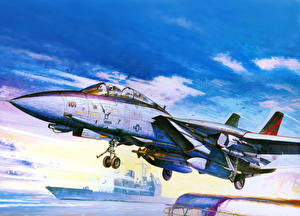 桌面壁纸，，飛機，绘制壁纸，战斗机，飛行，F-14A，航空