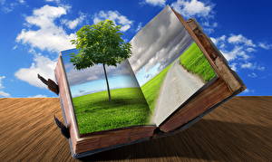 Fondos de escritorio Creativas Cielo árboles Hierba Nube Libros