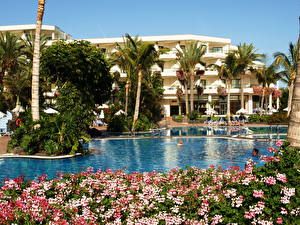 Tapety na pulpit Ośrodek Hiszpania Hotel Basen pływacki Palmy Wyspy Kanaryjskie  Miasta
