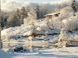 Bilder Jahreszeiten Winter Kanada Schnee Bäume  Natur
