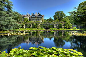 Hintergrundbilder Garten Seerosen Teich Vereinigtes Königreich Bodnant Conwy Wales Natur