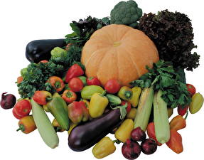 Hintergrundbilder Gemüse Paprika Kürbisse Lebensmittel