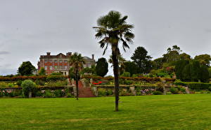 Bilder Parks Landschaftsbau Gebäude England Gras Rasen Palmen Design Eigenheim Tapley Bideford Natur