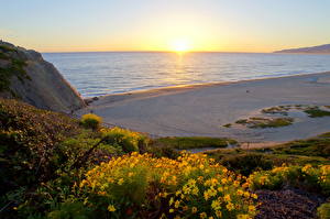 Bakgrunnsbilder Kyst Sjøen Soloppganger og solnedganger Strand Horisont California Malibu Natur Blomster
