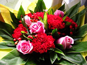 Wallpapers Bouquets Roses Carnations Flowers