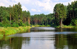 Bureaubladachtergronden Rivieren Bos Litouwen  Natuur
